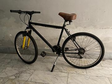 Bicicletta Logan 760