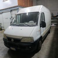 ducato 