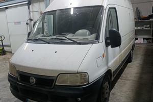 ducato 