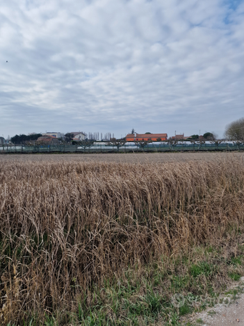 Terreno agricolo di oltre 1 ettaro