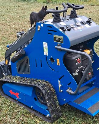 MINI PALA COMPATTA CINGOLATA MINIPALA minipala