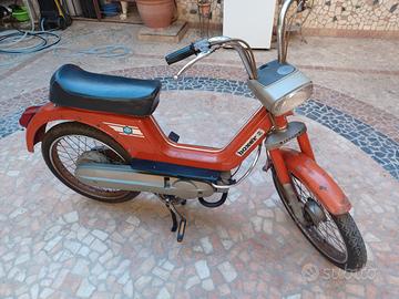 Boxer conservato anno 77