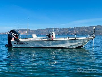 Boston whaler 17 con motore, carrello, motore prua