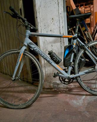 Bici Torpedo KCS Arwin T370