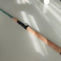 canna casting st croix avid inshore 3/4 2 once