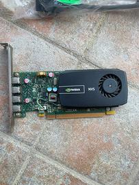 Scheda grafica NVIDIA NVS