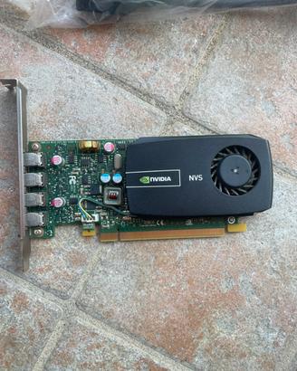 Scheda grafica NVIDIA NVS