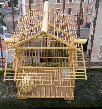 Incantevole gabbia , voliera artigianale