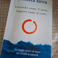 Libro Gianluca Gotto