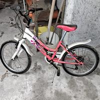 Bicicletta bambini 20