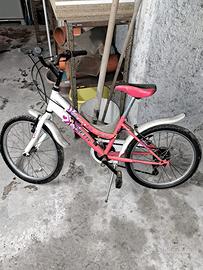Bicicletta bambini 20