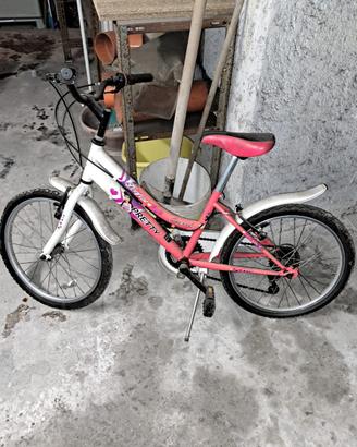 Bicicletta bambini 20