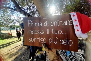 Terreno per orto famigliare