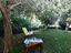 Immagine 24
