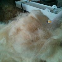 LANA PER MATERASSI E CUSCINI