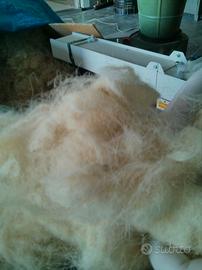 LANA PER MATERASSI E CUSCINI