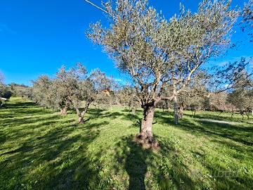 Terreno agricolo pianeggiante