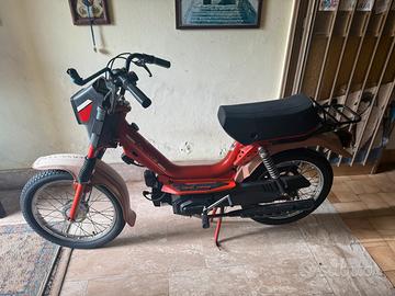 Califfone 50 conservato