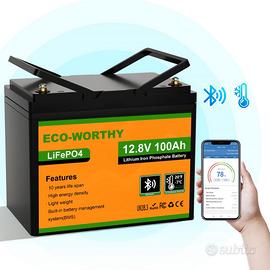 Batteria al litio bluetooth life Po4 da 12v-100Ah
