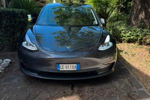 Tesla Model 3 Performance