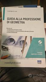 Guida alla professione di Geometra