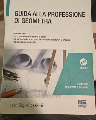 Guida alla professione di Geometra