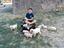 Immagine 5