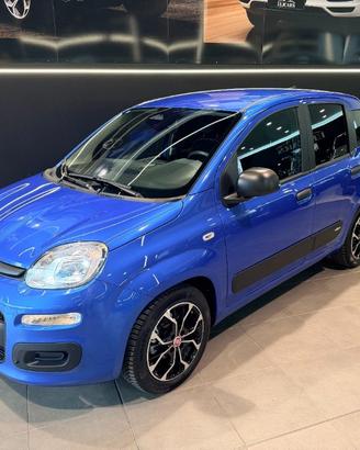 FIAT Pandina 1.0 FireFly 65 CV Hybrid Icon