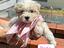 Immagine 3