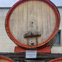 Botti in legno