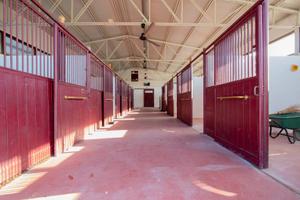 Terreno di 27000 m² a Bussolengo