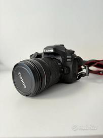 CANON EOS 80D + EF 18-135