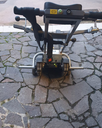Montascale per disabili