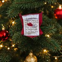 Decoro Albero di Natale Harry Potter strillettera 