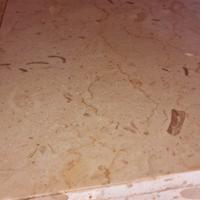 Piastra. Marmo Shell Beige / Fossi Beige e Breccia