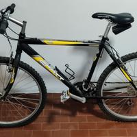 bicicletta 24 bambino scott