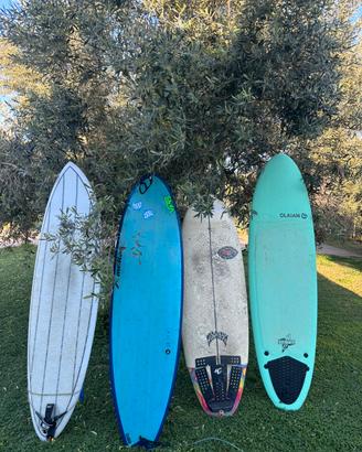 Tavole da surf