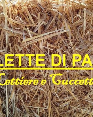 BALLETTE PAGLIA LETTIERE CUCCETTE