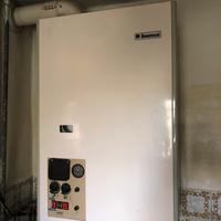 caldaia immergas zeus