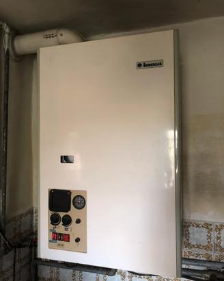 caldaia immergas zeus