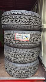 Gomme auto Estive 255/55 R18 109V