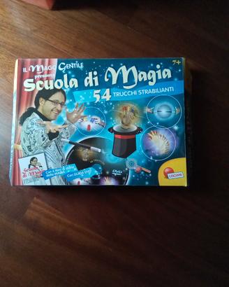 Gioco Lisciani