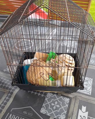 gabbia per pappagalli e canarini con accessori