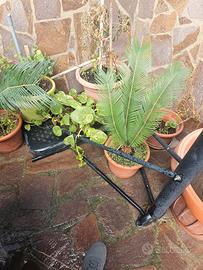 Canestro da basket professionale