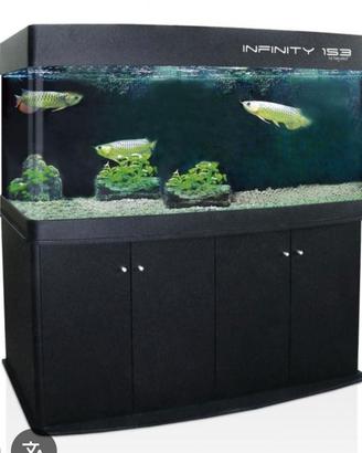 Acquario 900 litri Haquoss Infinity 153 900 litri