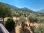 Immagine 29