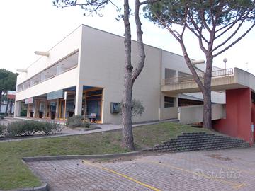 Appartamento lignano riviera
