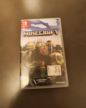 Minecraft (Nintendo switch)