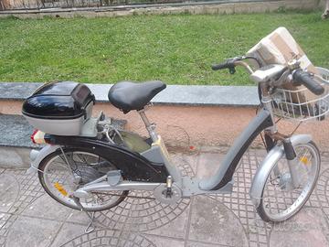 Bicicletta elettrica