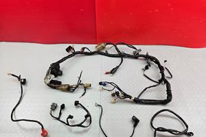 CABLAGGIO IMPIANTO HONDA HORNET 900 2002 2003 CB 2